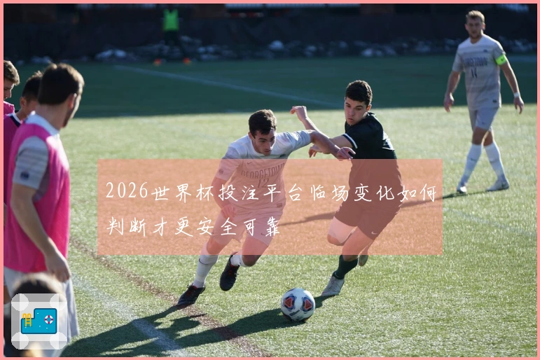 2026世界杯投注平台临场变化如何判断才更安全可靠
